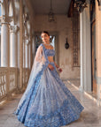 Blue Cut Work Lehenga Set - Ready to Ship