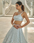 Powder Blue Sequin Lehenga Set