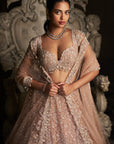 Champagne Sequin Lehenga Set