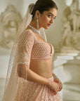 Powder Pink Sequin Lehenga Set