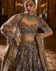Antique Brown Tissue lehenga Set