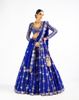 Royal Blue Big Flower Linear Lehenga Set