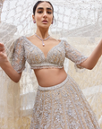 Nude Silver Lehenga Set 3