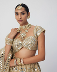 Golden Shimmer Organza Flower Lehenga Set - Ready to Ship