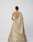 Golden Shimmer Organza Flower Lehenga Set - Ready to Ship