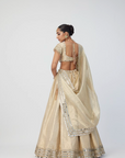 Golden Shimmer Organza Linear Lehenga Set