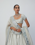 Silver Shimmer Organza Linear Lehenga Set