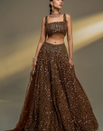 Copper Gold Corset Lehenga Set