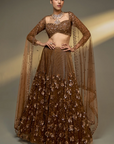 Copper Gold Lehenga Set - Midas Touch