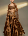 Mocha Mousse Lehenga Set