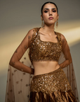 Mocha Mousse Lehenga Set