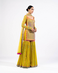 Multi Color Moss Green Sharara Set