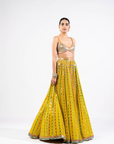 Moss Green Linear Drop Lehenga Set