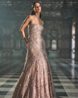 Rose Gold Mirror Work Gown