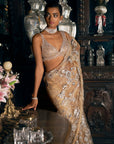 Nude Silver Applique Saree 3