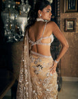 Nude Silver Applique Saree 2