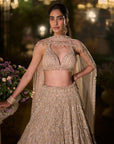 Coffee Sequin Lehenga Set
