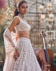 Ice Grey Dori Lehenga Set