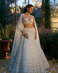 Ivory Pearl & Sequin Lehenga Set