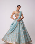Powder Blue Organza Sequin Embroidered Lehenga Set