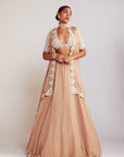 Beige Organza Lehenga Set