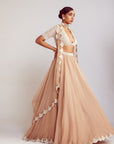 Beige Organza Lehenga Set