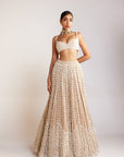 Beige Chandelier Pearl Sweetheart Neck Lehenga Set