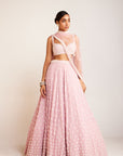 Powder Pink Flower Lehenga Set