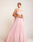 Powder Pink Flower Lehenga Set