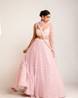 Powder Pink Flower Lehenga Set