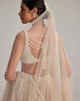Light Beige Dense Mirror And Pearl Lehenga Set With Double Dupatta And Veil