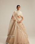 Light Beige High Neck Organza Mirror And Pearl Lehenga Set