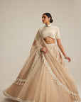 Light Beige High Neck Organza Mirror And Pearl Lehenga Set