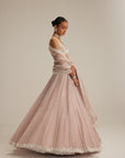 Ash Pink Pearl Mirror Linear Lehenga With V Neck Blouse
