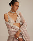 Ash Pink Pearl Mirror Linear Lehenga With V Neck Blouse