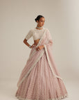 Ash Pink Pearl Drop Lehenga With High Neck Blouse