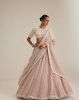 Ash Pink Pearl Drop Lehenga With High Neck Blouse
