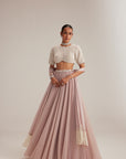 Ash Pink Georgette Skirt With High Neck Blouse And Stole