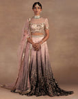 Blush Pink - Black Ombre Sharara Set