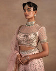 Blush Pink - Black Ombre Sharara Set