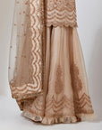 Ivory Marori And Gota Embroidered Sharara Set