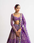 Purple Heavy Multi Color Lehenga Set