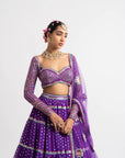 Purple Multi Tier Multi Color Lehenga Set