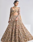 Jewelled Lehenga Set
