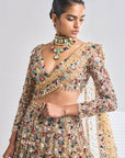 Jewelled Lehenga Set