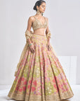 Multi-Coloured Gold Lehenga Set