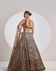 Chocolate Brown Lehenga Set