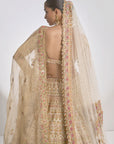 Cream Gold Zardozi Lehenga Set