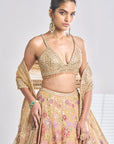 Multi-Coloured Gold Lehenga Set