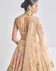 Multi-Coloured Gold Lehenga Set